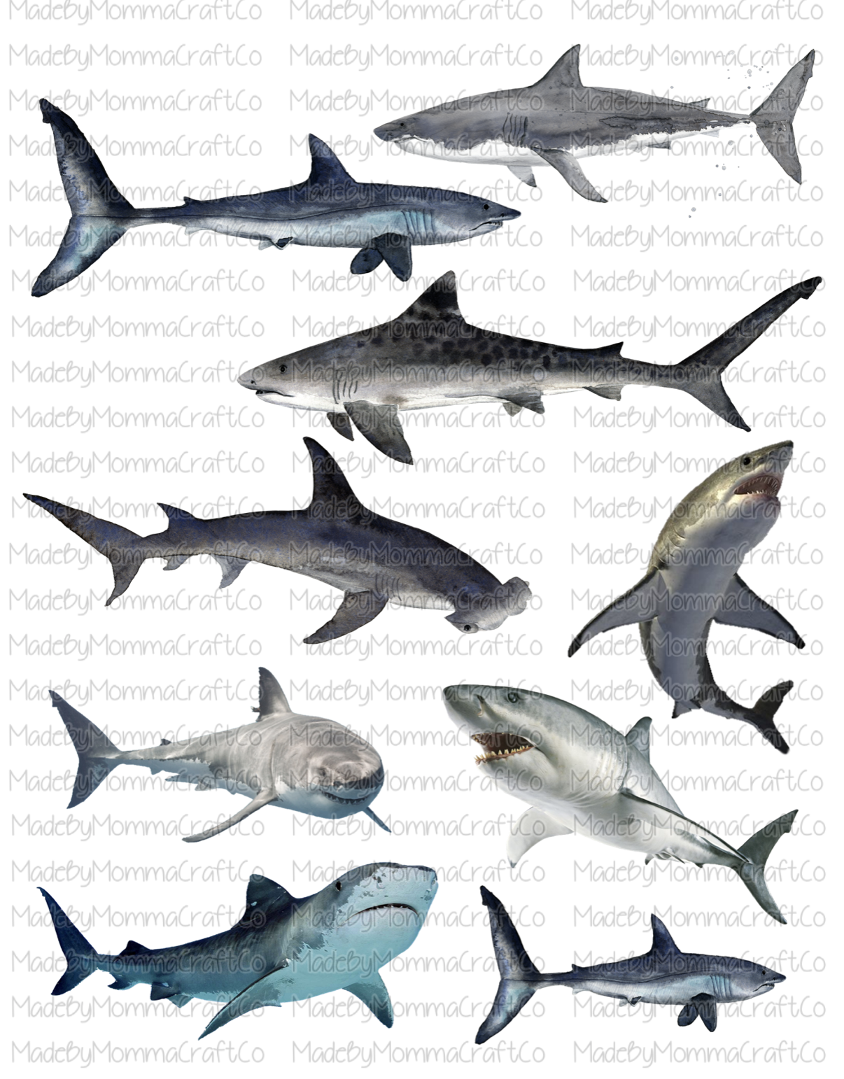 Full Sheet of Sharks Cheat Clear Waterslide™ or White Cast Sticker