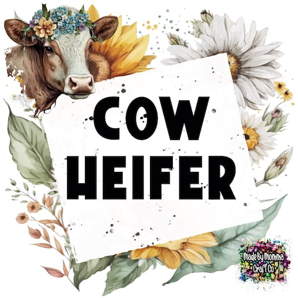 Cow / Heifer