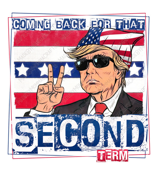 Second Term Trump 2024 - Cheat Clear Waterslide™ or White Cast Sticker