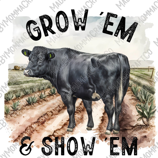 Grow em and Show Em Angus Steer - Cheat Clear Waterslide™ or White Cast Sticker