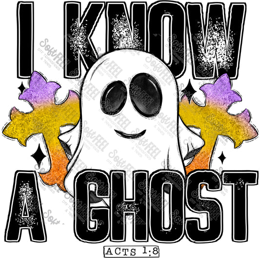 I Know A Ghost - Halloween - Direct To Film Transfer / DTF - Heat Press Clothing Transfer