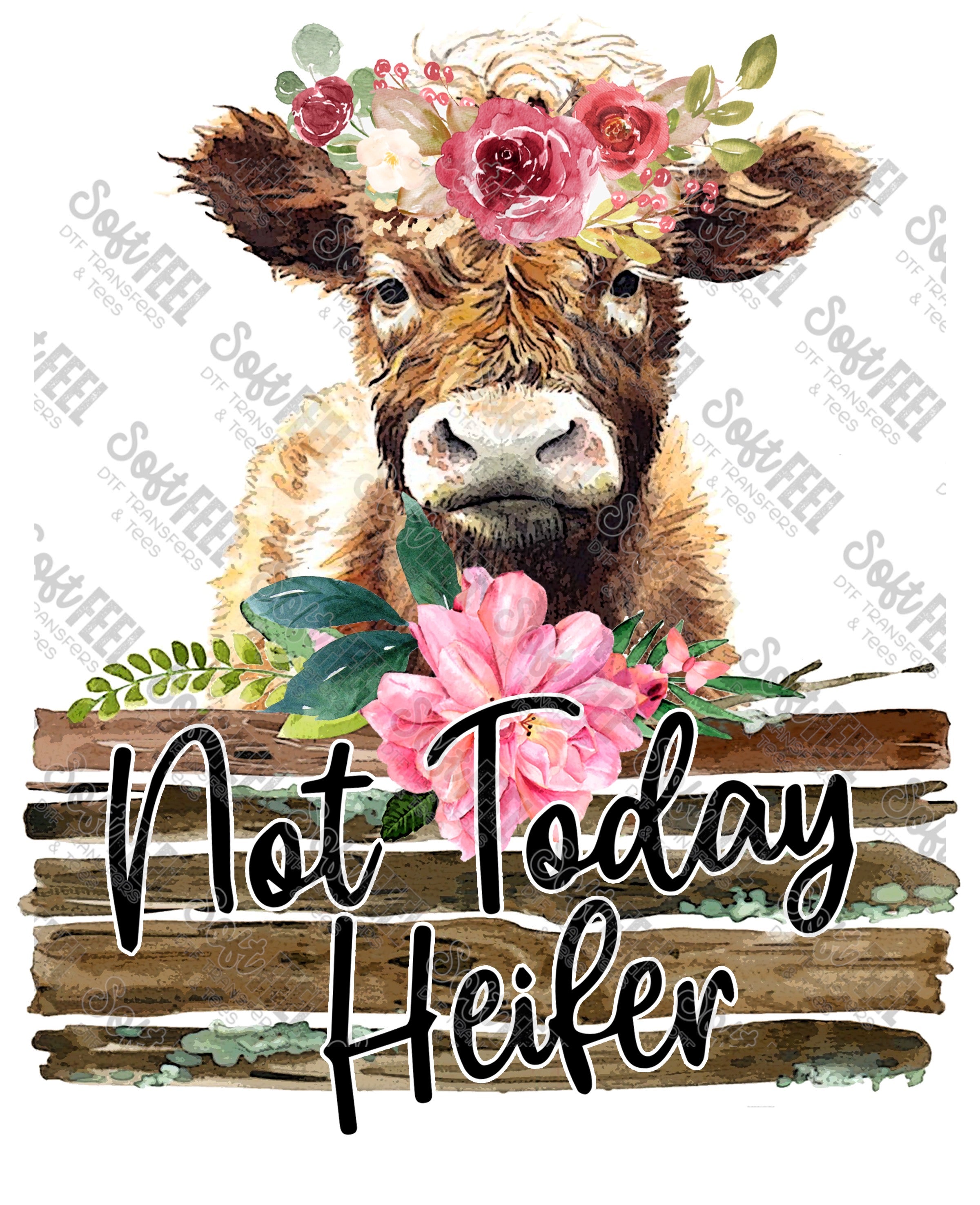 Not today Heifer Baby - Women&#39;s / Country Western  - Direct To Film Transfer / DTF - Heat Press Clothing Transfer