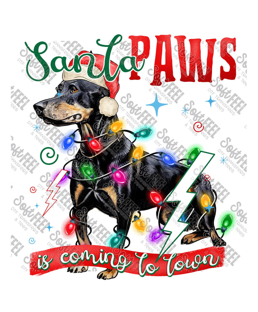 Santa Paws 24 - Christmas / Animals - Direct To Film Transfer / DTF - Heat Press Clothing Transfer