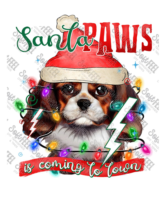 Santa Paws 25 - Christmas / Animals - Direct To Film Transfer / DTF - Heat Press Clothing Transfer