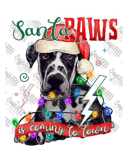 Santa Paws 29 - Christmas / Animals - Direct To Film Transfer / DTF - Heat Press Clothing Transfer