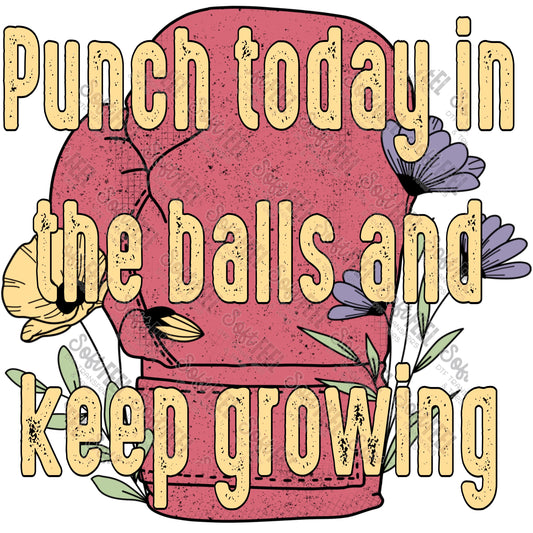 Punch Today In The Balls - Mental Health / Humor - Direct To Film Transfer / DTF - Heat Press Clothing Transfer