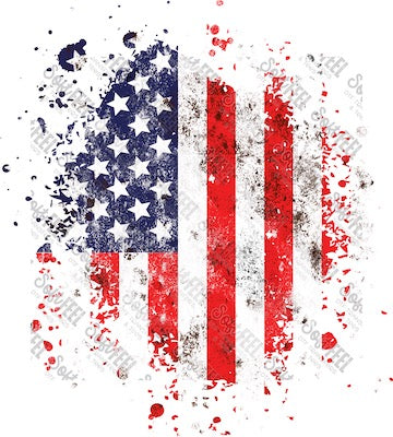 American Flag Patch 1 - Patches & Patterns - Direct To Film Transfer / DTF - Heat Press Clothing Transfer