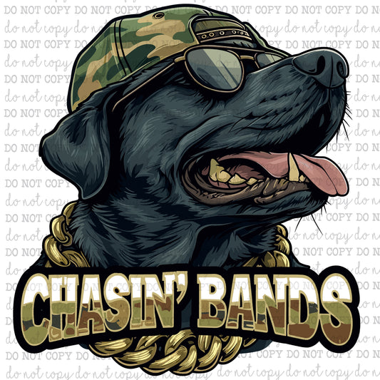 Chasin Bands Lab - Hunting - Cheat Clear Waterslide™ or White Cast Sticker