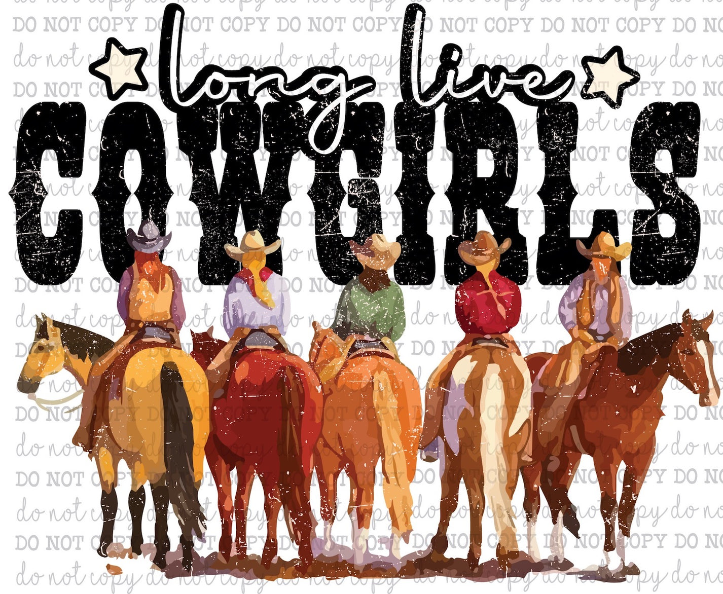 Long Live Cowgirls Vintage Country Western Cheat Clear Waterslide