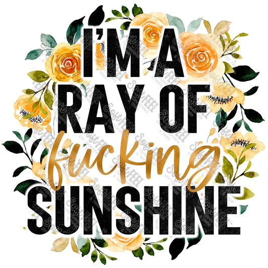 Ray Of F*cking Sunshine - Women's / Snarky Humor - Direct To Film Transfer / DTF - Heat Press Clothing Transfer