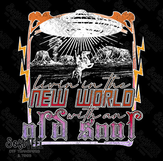 New World Old Soul - Country Western / Political / Music - Direct To Film Transfer / DTF - Heat Press Clothing Transfer