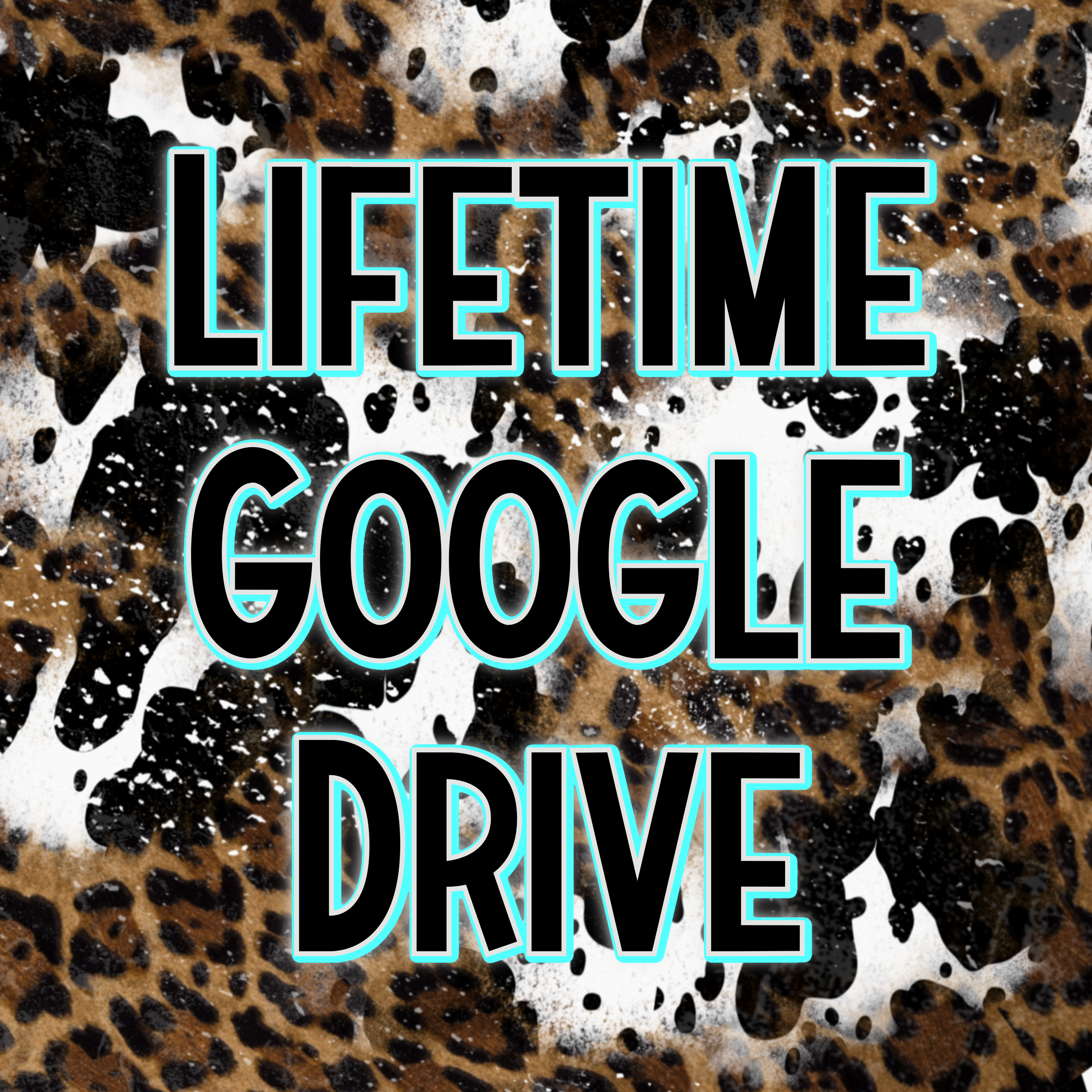 Lifetime Google Drive Access