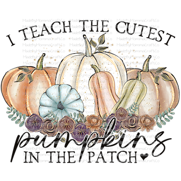 I TEACH THE CUTEST PUMPKINS IN THE PATCH Fall -Cheat Clear Waterslide™ or White Cast Sticker