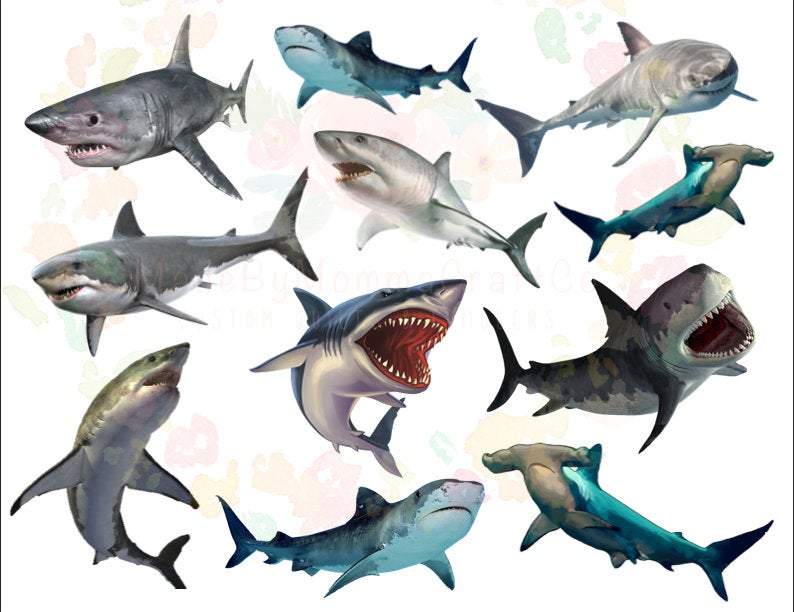 Full Sheet of Sharks Cheat Clear Waterslide™ or White Cast Sticker