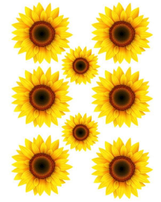 Sheet of Sunflowers Cheat Clear Waterslide™ or White Cast Sticker