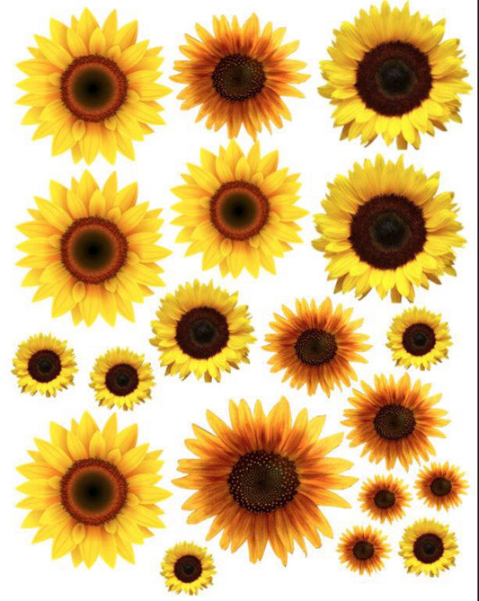 Sheet of Sunflowers Cheat Clear Waterslide™ or White Cast Sticker