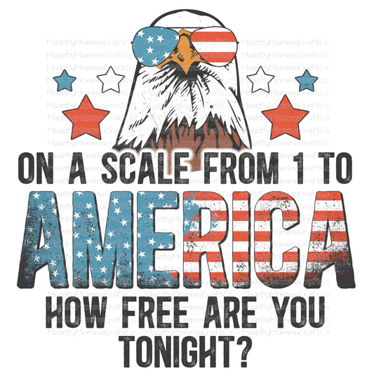 On a Scale of One to America Eagle - Cheat Clear Waterslide™ or White Cast Sticker